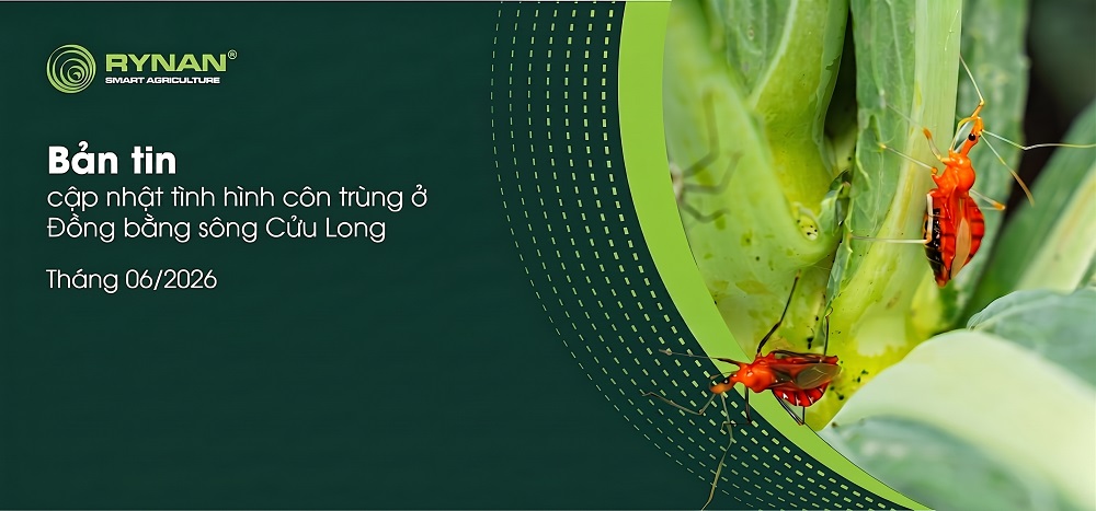 Bản tin côn trùng tháng 06/2026